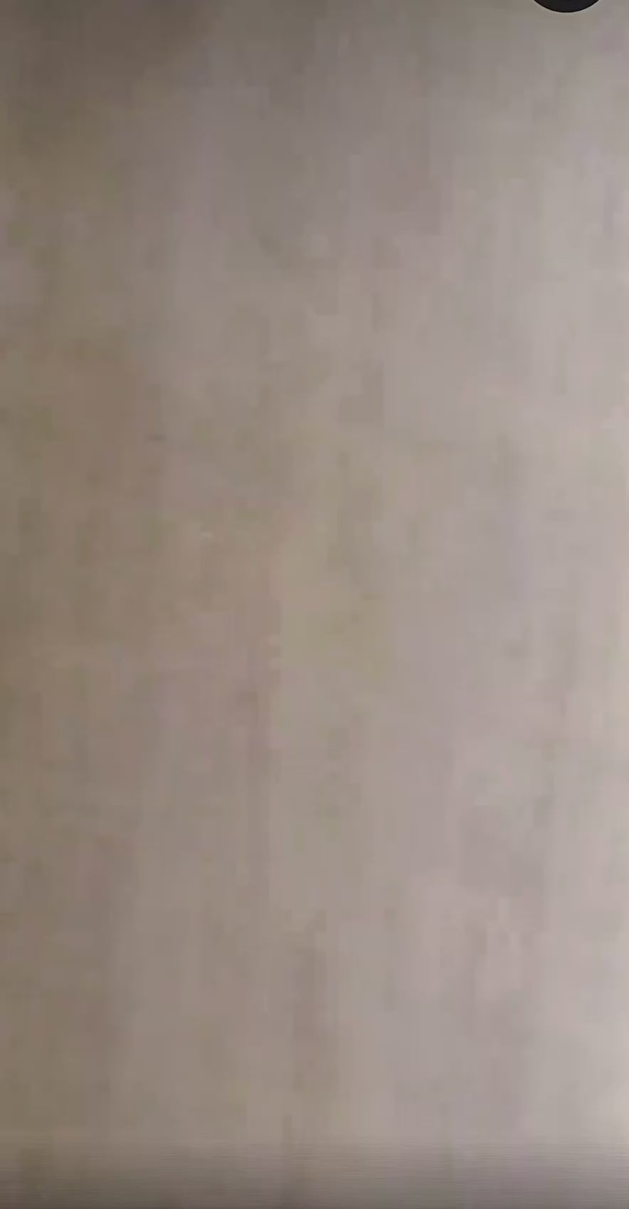 Charger la vidéo : 